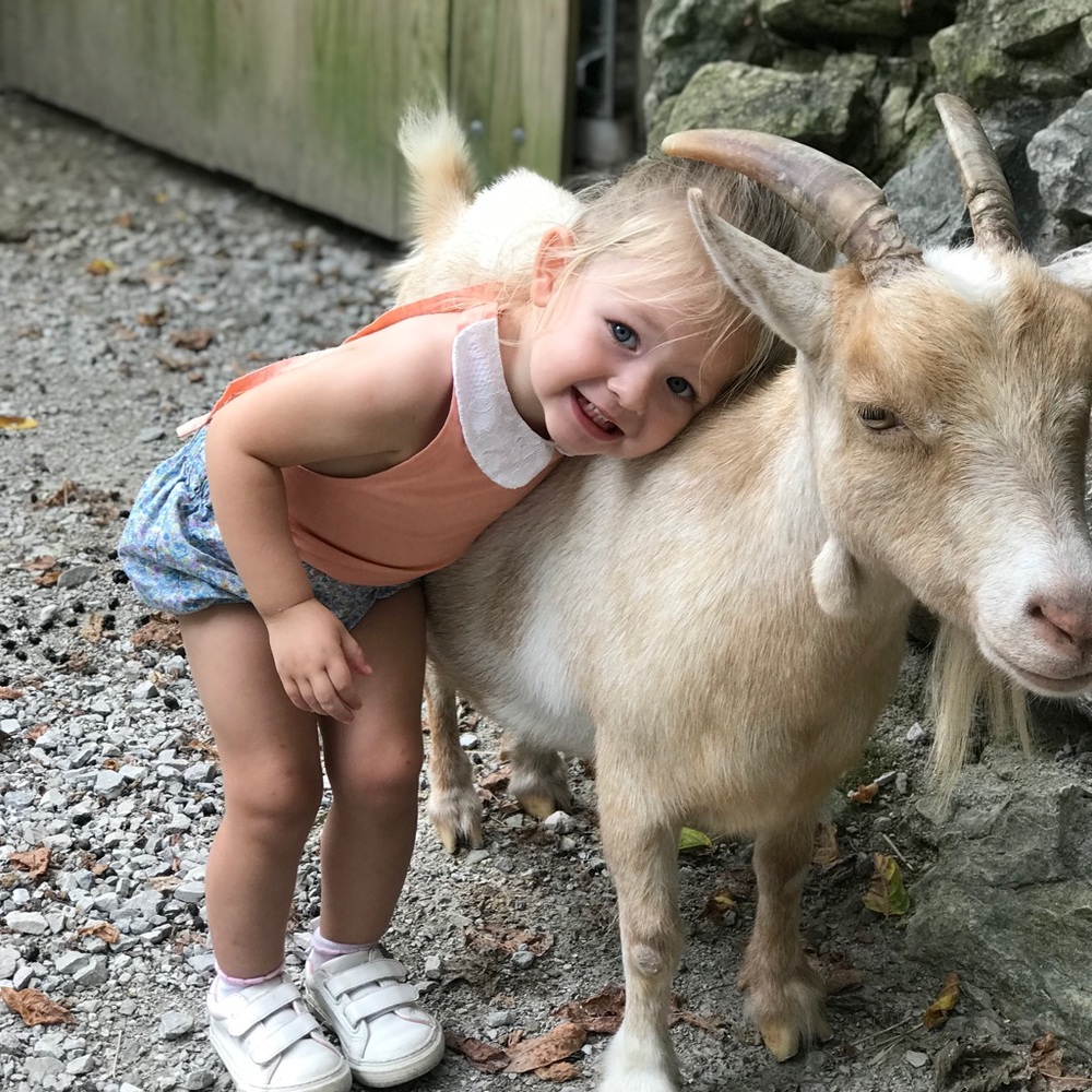 Meet your Posher, Sj